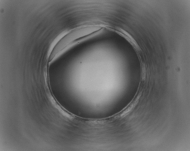 X0000073700812200608171111