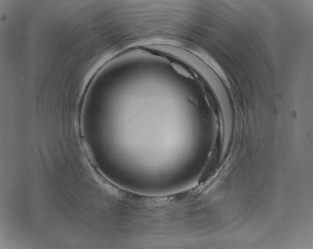 X0000073700813200608171111