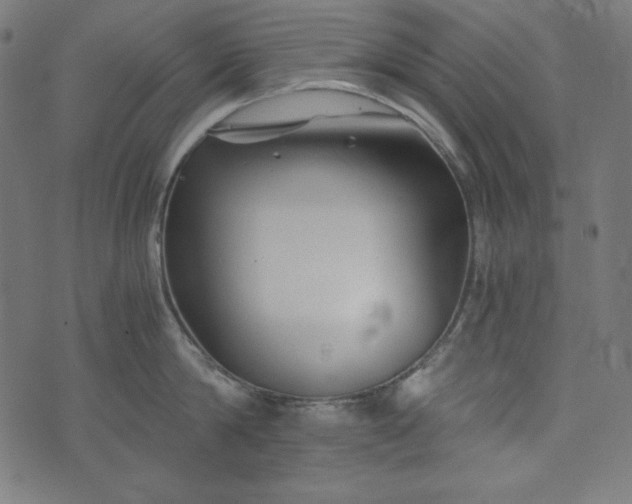 X0000073700814200608171111