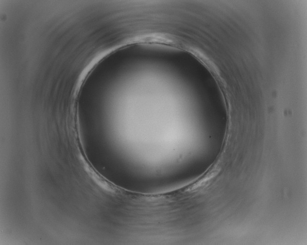 X0000073700816200608171111