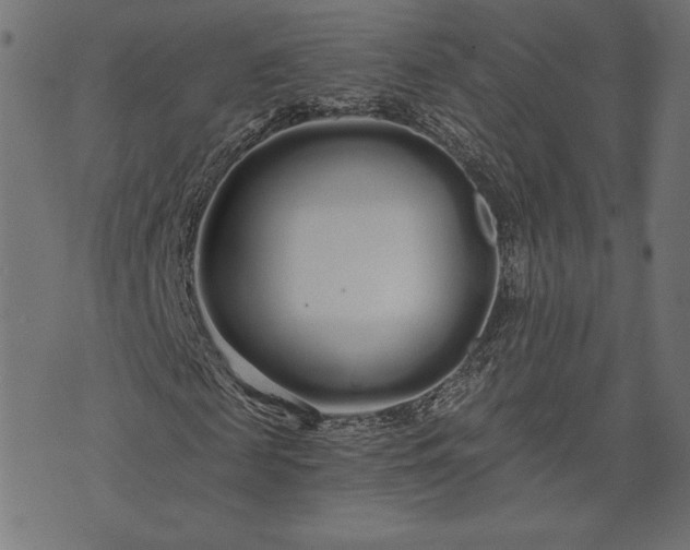 X0000073700817200608171110