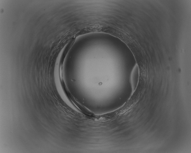 X0000073700818200608171110