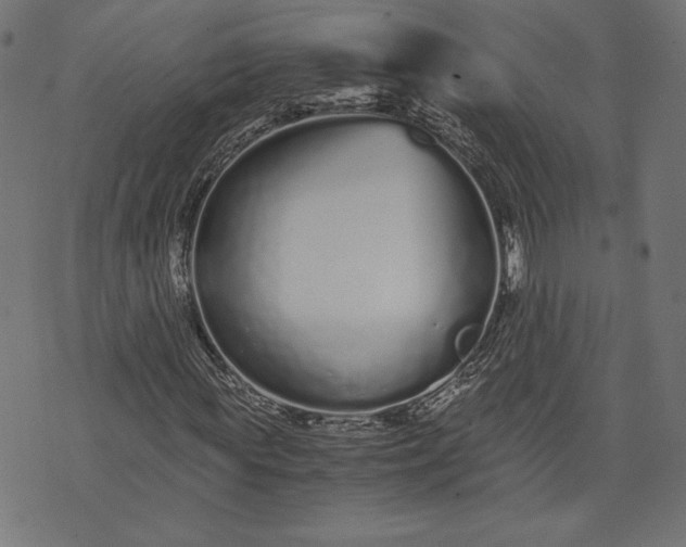 X0000073700819200608171111