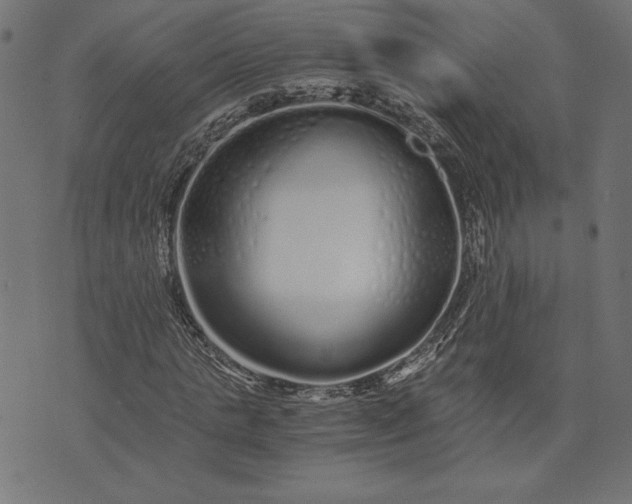 X0000073700821200608171111