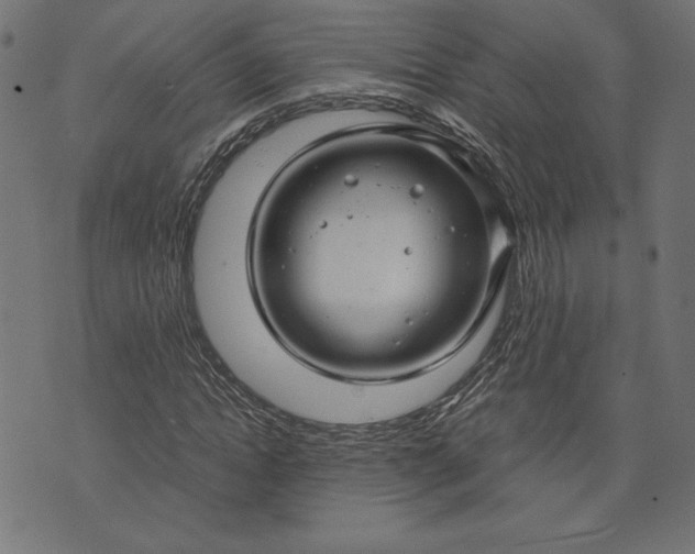 X0000073700822200608171111