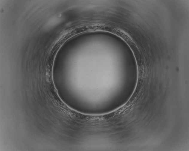 X0000073700823200608171111