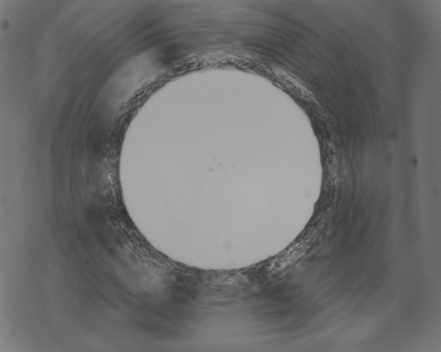 X0000073700824200608171111