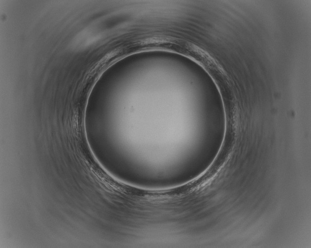 X0000073700825200608171111