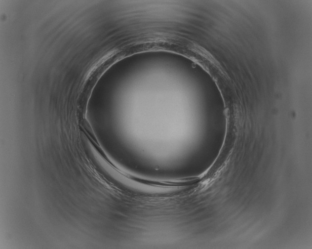 X0000073700826200608171111