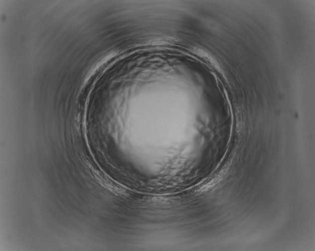 X0000073700827200608171111