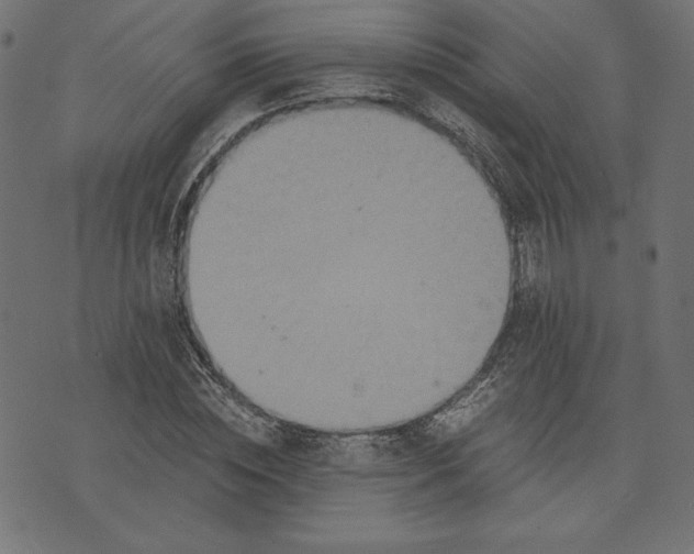 X0000073700828200608171111