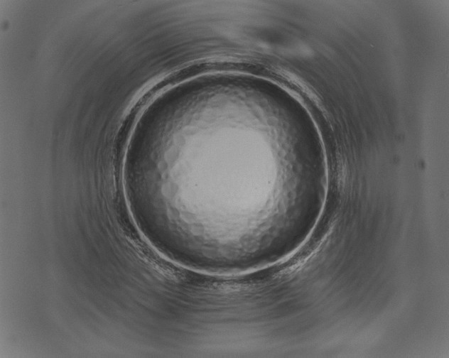 X0000073700829200608171111