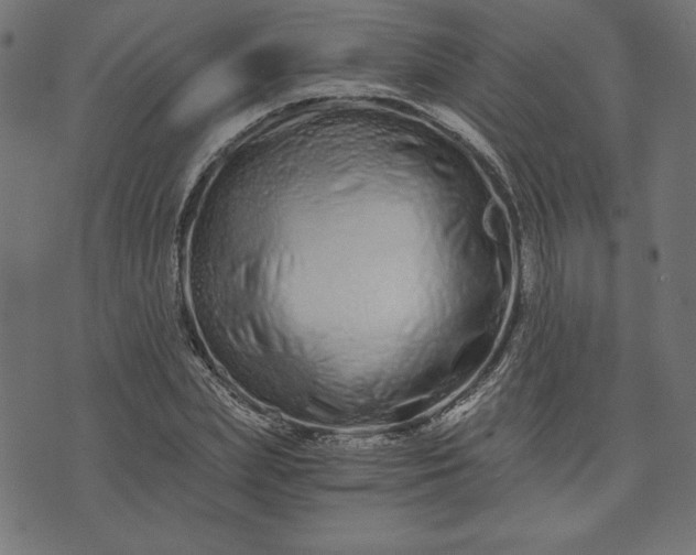 X0000073700831200608171111