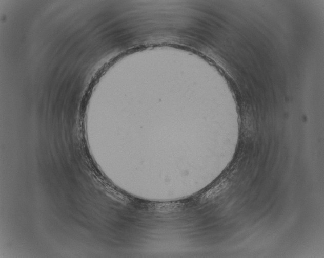 X0000073700832200608171111