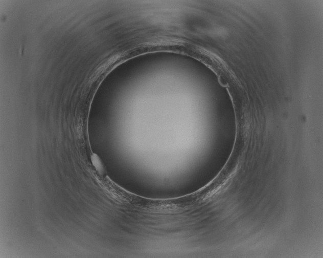 X0000073700833200608171111