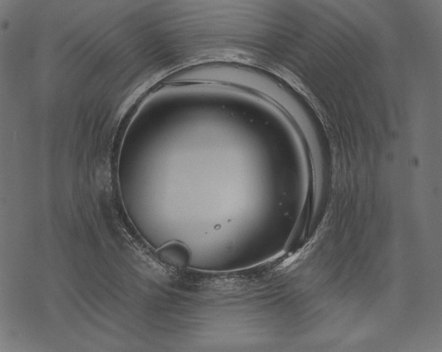 X0000073700834200608171111