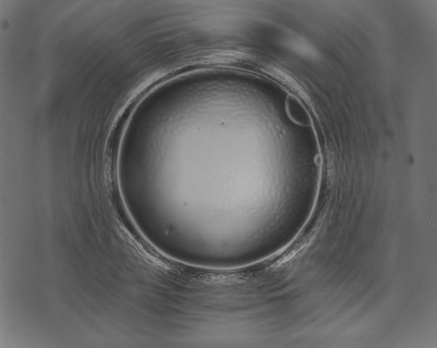 X0000073700835200608171111