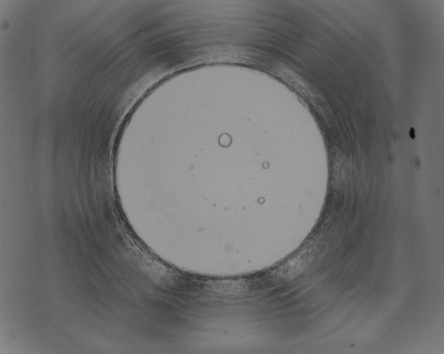 X0000073700836200608171111