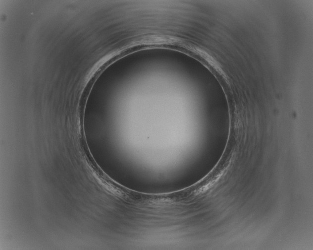 X0000073700837200608171111