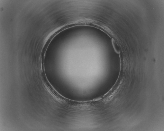 X0000073700838200608171111