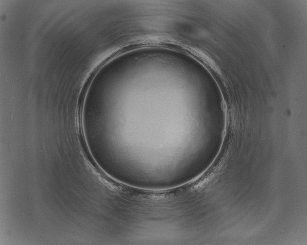 X0000073700839200608171111