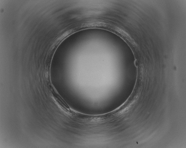 X0000073700841200608171111