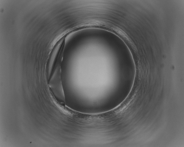 X0000073700842200608171111