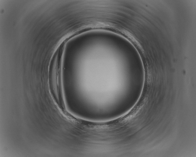 X0000073700845200608171111