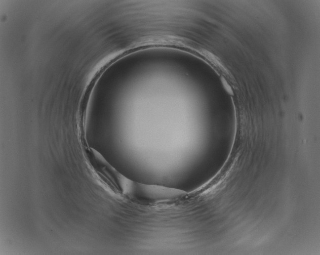 X0000073700846200608171111