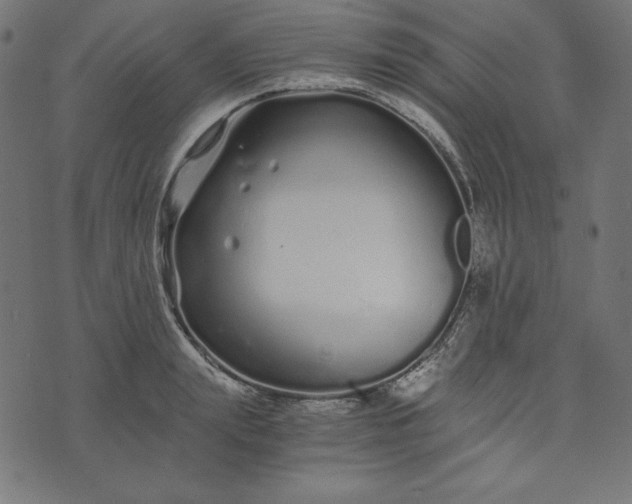 X0000073700847200608171111