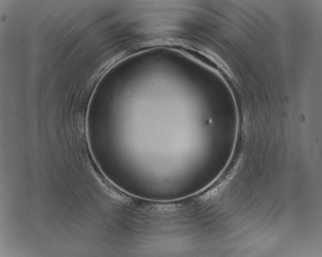 X0000073700849200608171111