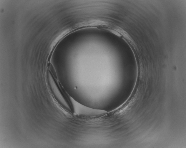 X0000073700850200608171111