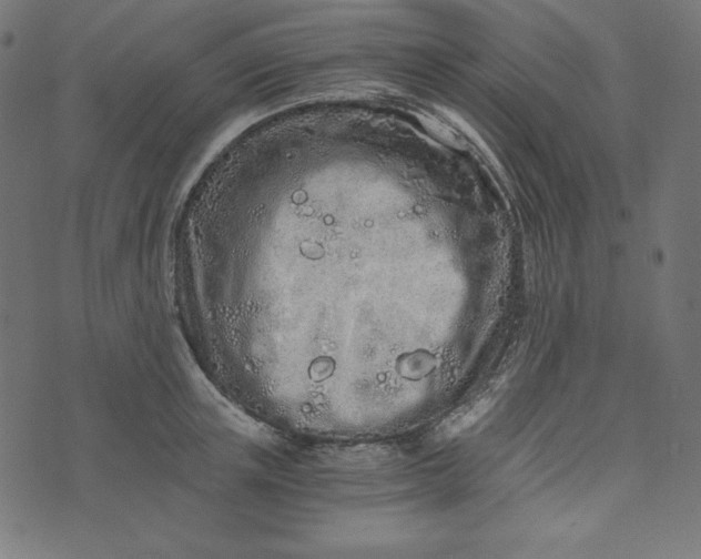 X0000073700851200608171111