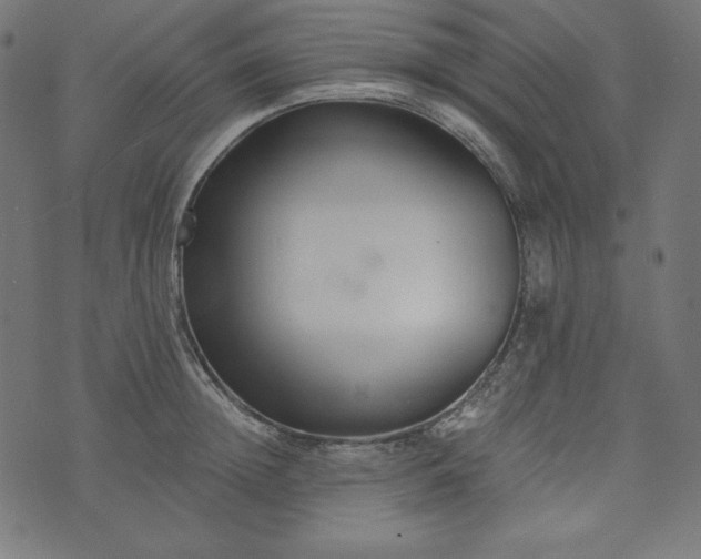 X0000073700852200608171111