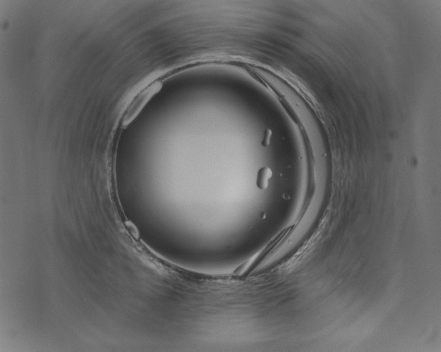 X0000073700854200608171111