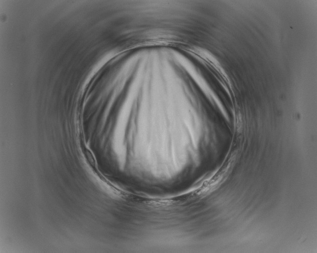 X0000073700859200608171111