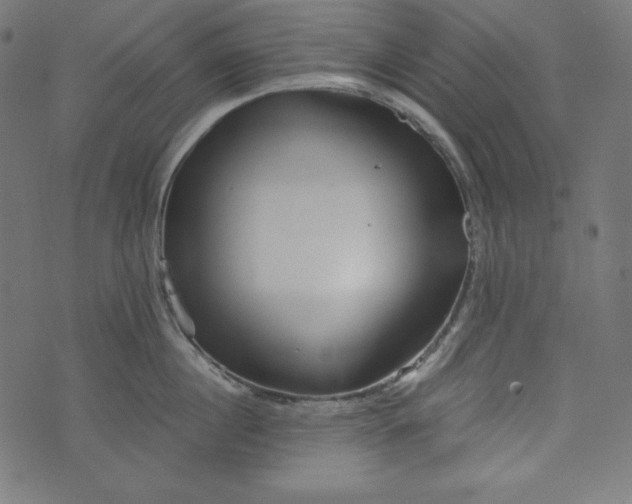 X0000073700860200608171111