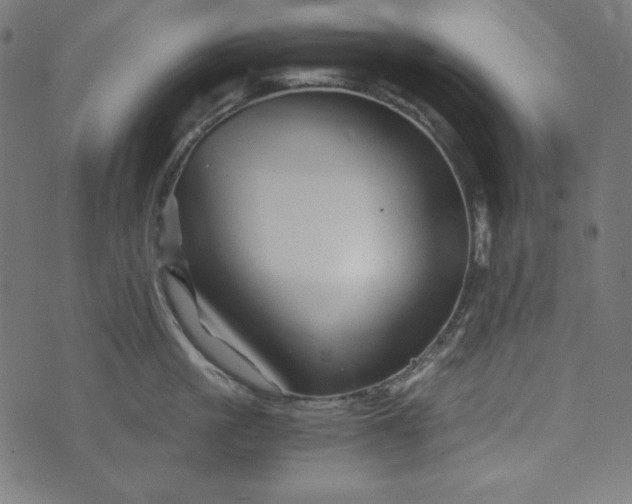 X0000073700861200608171111