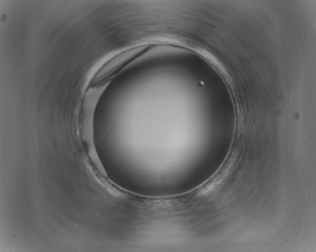 X0000073700862200608171111