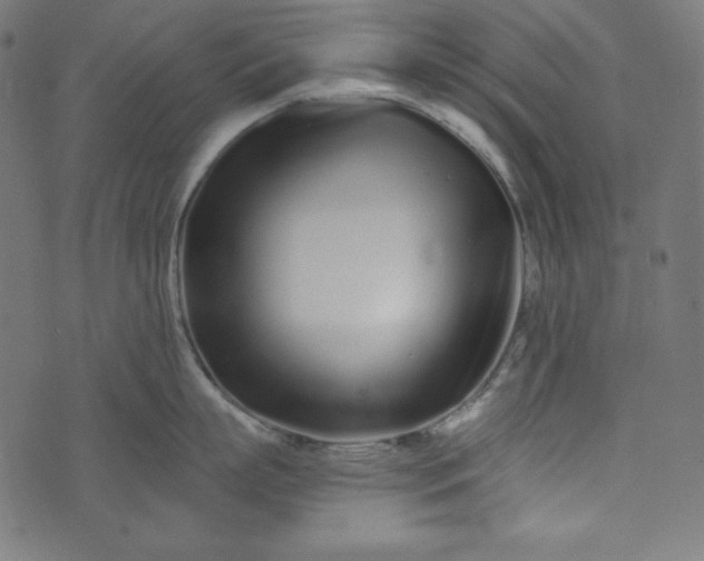 X0000073700863200608171111