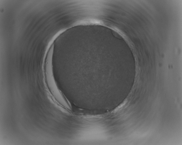 X0000073700864200608171111