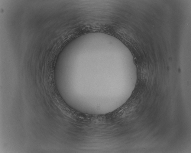 X0000073700865200608171110