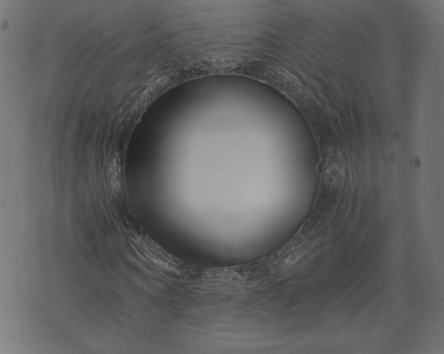 X0000073700866200608171110