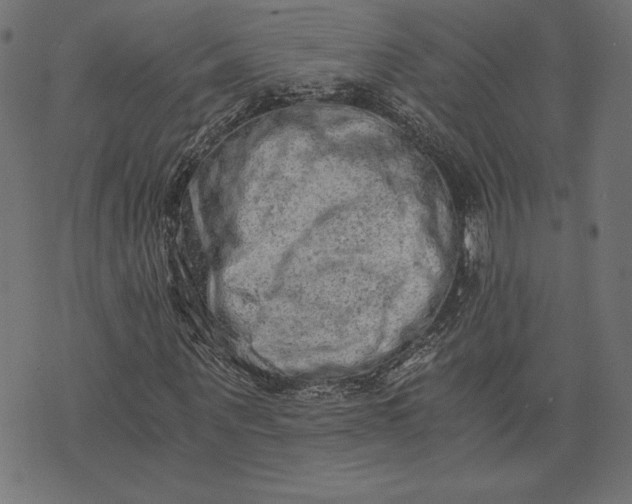 X0000073700867200608171110