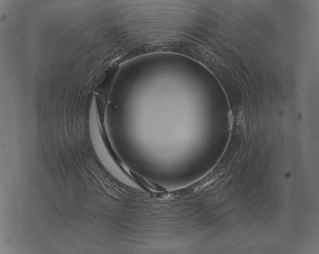 X0000073700868200608171110