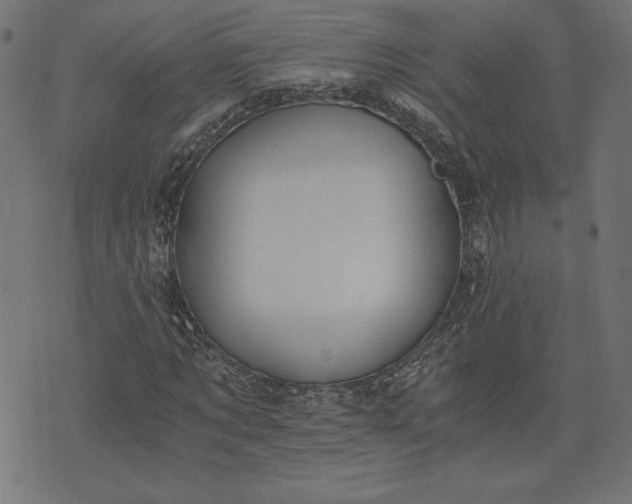 X0000073700869200608171110