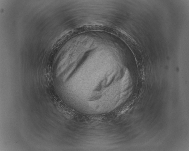 X0000073700870200608171110