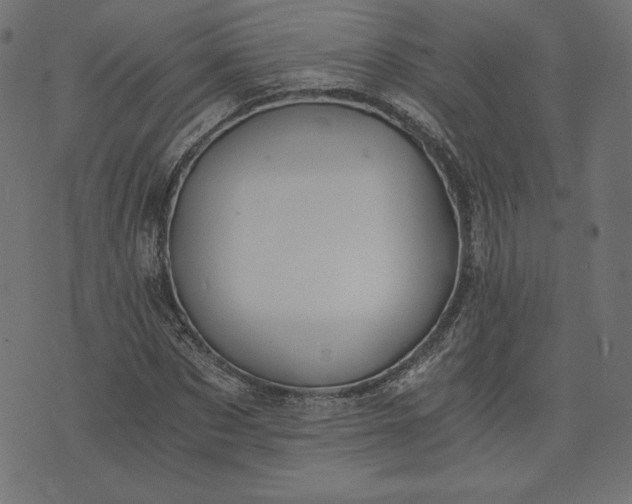 X0000073700873200608171110