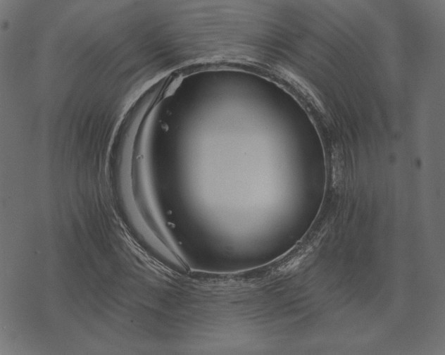 X0000073700876200608171110