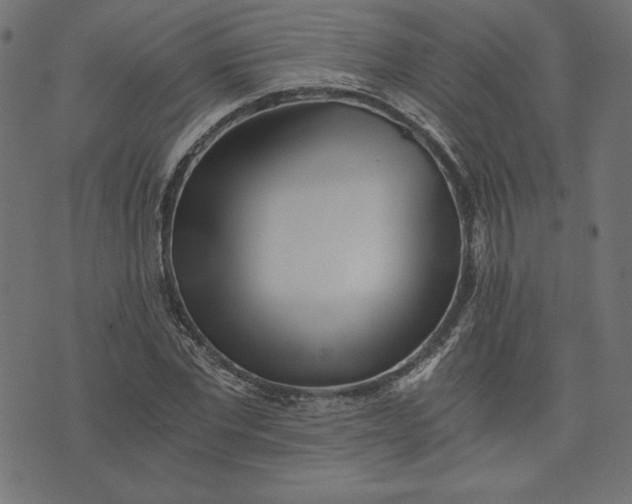 X0000073700877200608171110